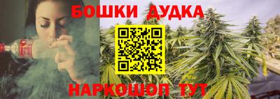 индика Волжск