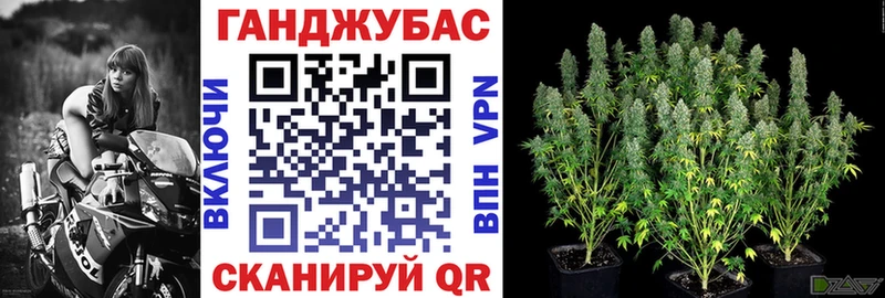 Канабис White Widow  где купить наркотик  Ленинск-Кузнецкий 
